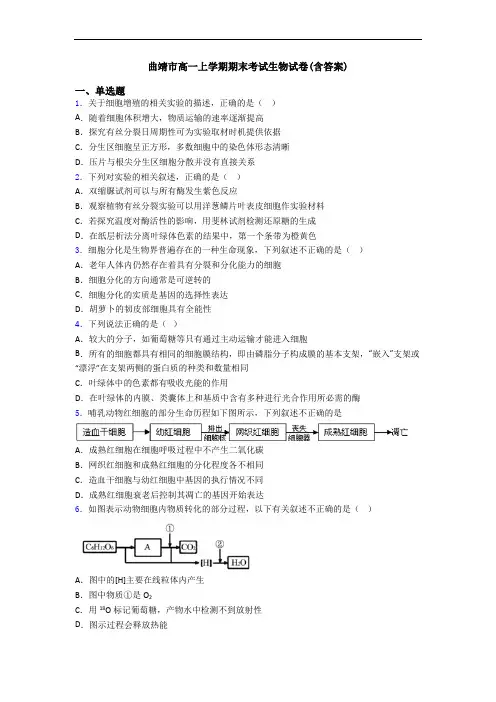 曲靖市高一上学期期末考试生物试卷(含答案)