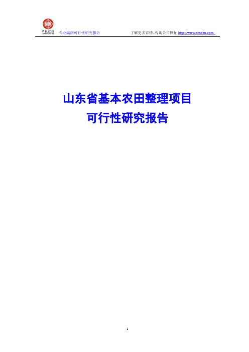 山东省基本农田整理项目可行性研究报告