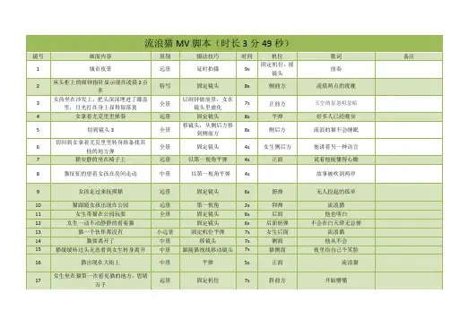 MV分镜头脚本