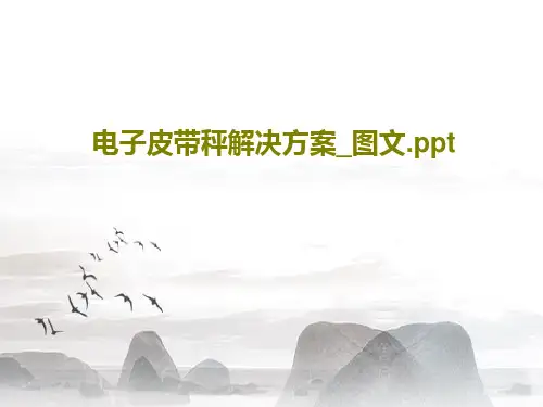 电子皮带秤解决方案_图文.ppt共19页PPT