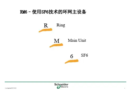 施耐德RM6中压开关柜