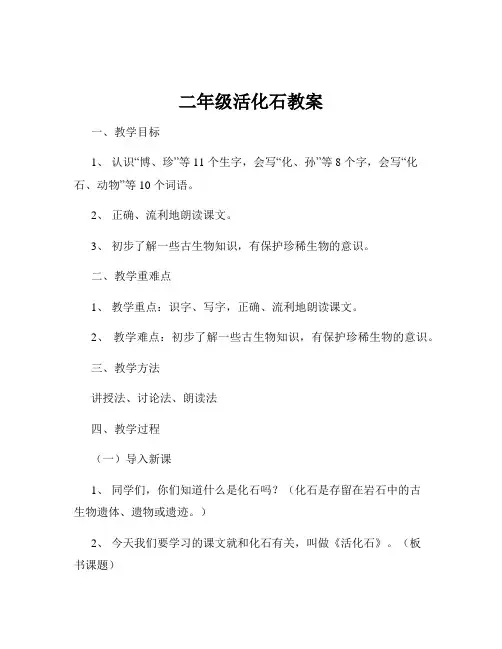 二年级活化石教案
