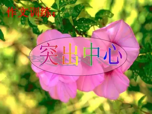 七年级上四单元写作训练《突出中心》PPT