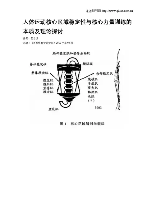 人体运动核心区域稳定性与核心力量训练的本质及理论探讨