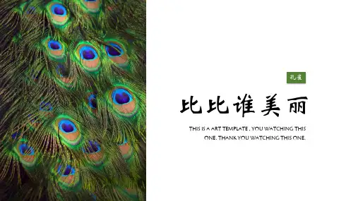 美术课件 孔雀