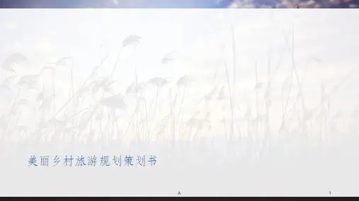 美丽乡村旅游规划策划书
