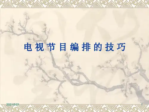 电视节目的编排方法PPT课件