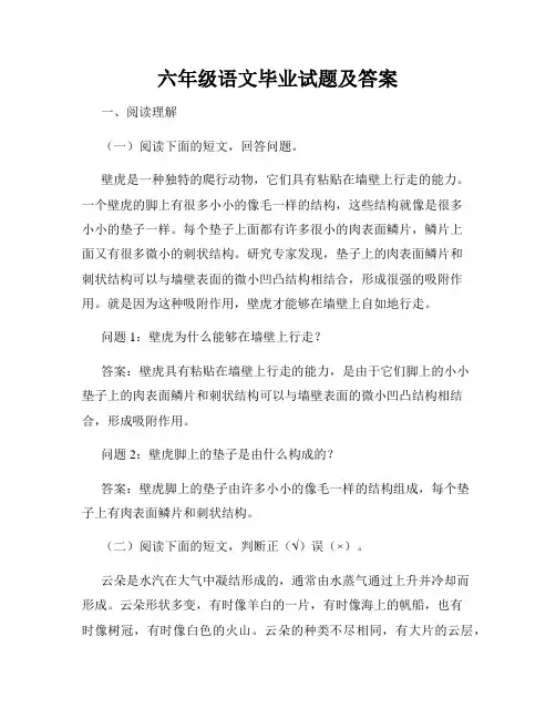 六年级语文毕业试题及答案