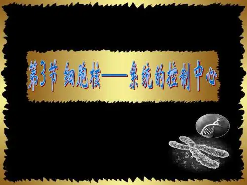 人教版教学课件江苏省南通市小海中学高一生物《细胞核—系统的控制中心》课件