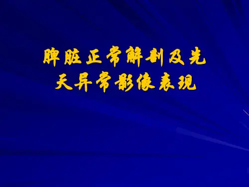 脾脏疾病影像诊断讲解