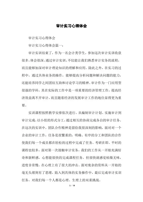 审计实习心得体会