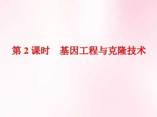 生物高频考点 基因工程与克隆技术.ppt
