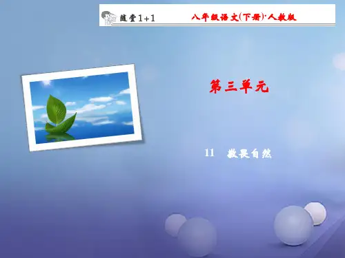 八年级语文下册 第3单元 11 敬畏自然随堂训练课件 (新版)新人教版