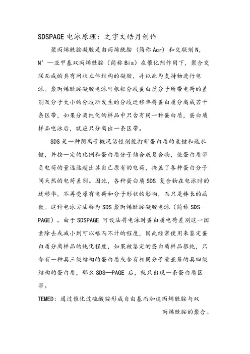 SDS-PAGE分离胶配方表-及其原理