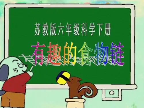 《有趣的食物链》