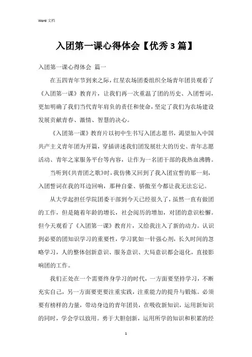 入团第一课心得体会【3篇】