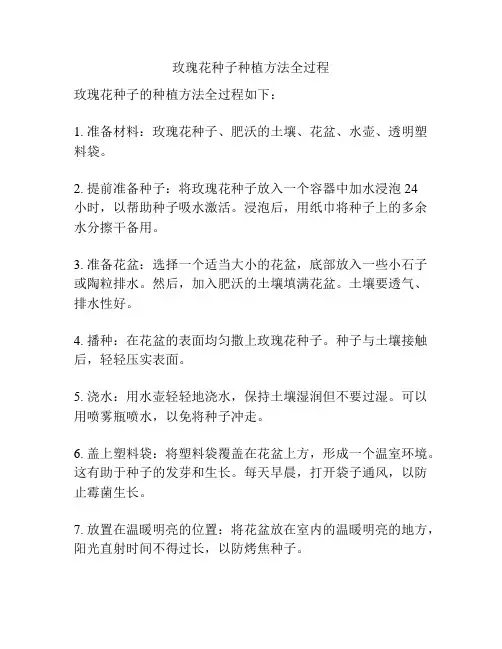 玫瑰花种子种植方法全过程