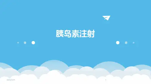 2024年度胰岛素注射