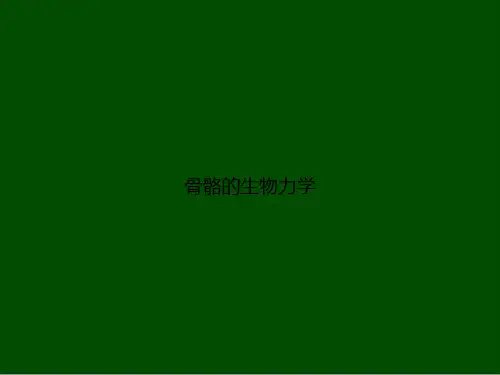 骨骼的生物力学