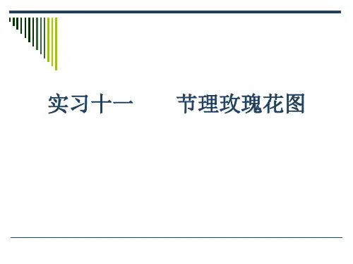 6.实习11、12 玫瑰花、极点、等密图