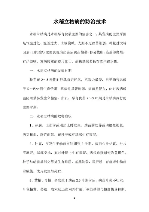 水稻立枯病的防治技术