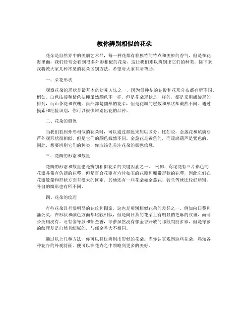 教你辨别相似的花朵
