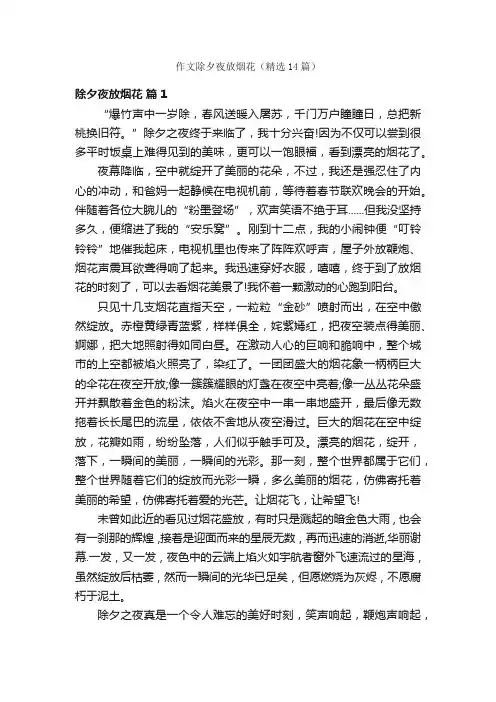 作文除夕夜放烟花（精选14篇）