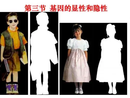 【初中生物】基因的显性和隐性PPT课件24