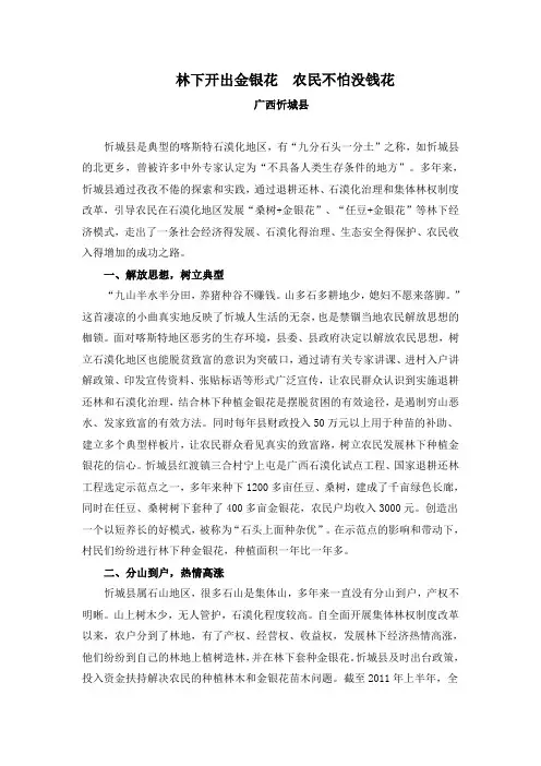 林下开出金银花农民不怕没钱花