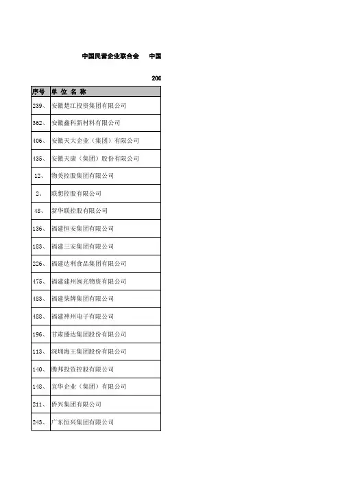 2009中国民营企业500强排名