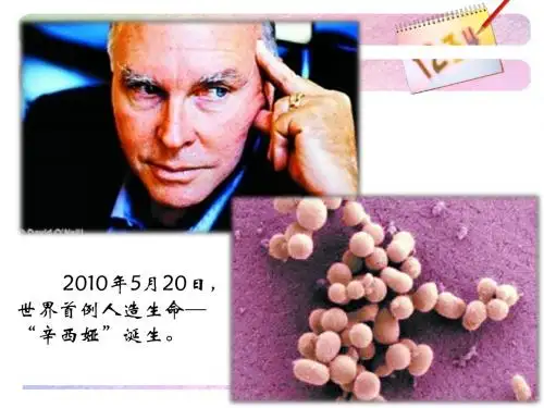 1&1 孟德尔的豌豆杂交实验1