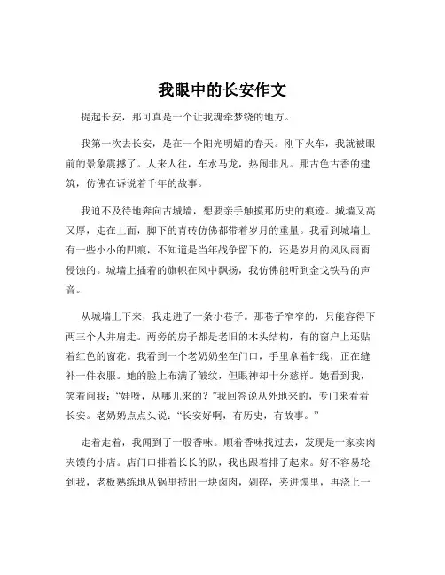 我眼中的长安作文