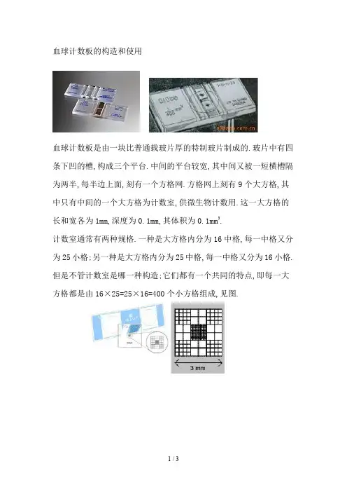 血球计数板的使用(有图指导)