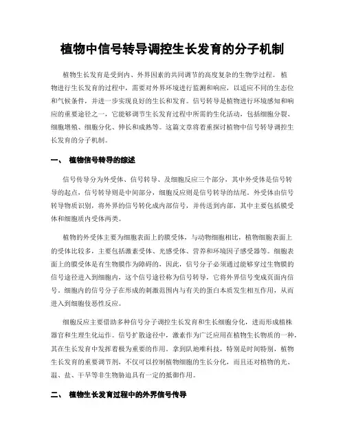植物中信号转导调控生长发育的分子机制
