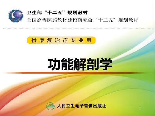 神经系统脊神经PPT课件