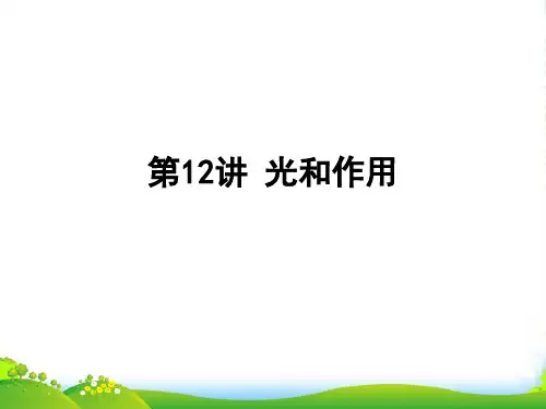 高中生物一轮复习 第12讲 光和作用课件