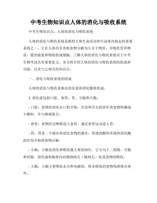 中考生物知识点人体的消化与吸收系统
