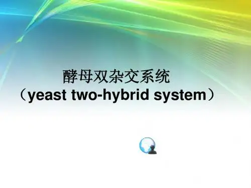 酵母双杂交
