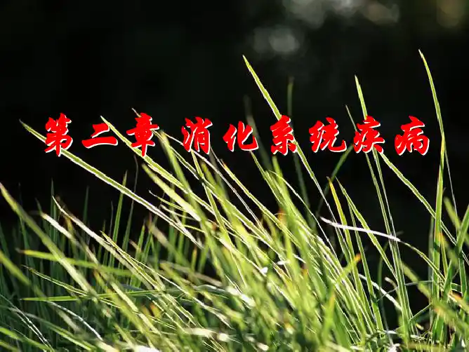 内科学第二章 消化系统疾病