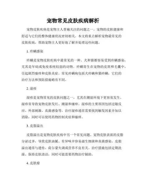 宠物常见皮肤疾病解析