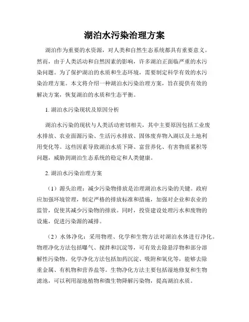 湖泊水污染治理方案