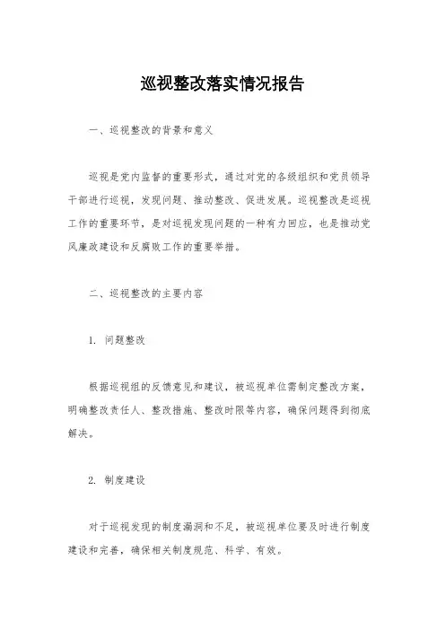 巡视整改落实情况报告