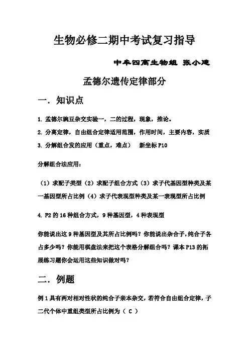 生物必修二期中考试复习指导