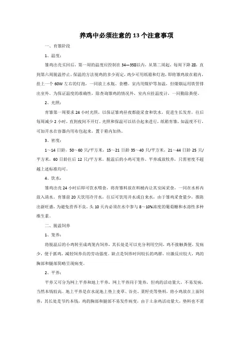 养鸡中必须注意的13个注意事项