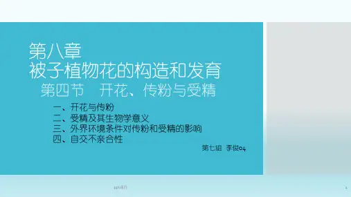 植物学第八章第四节开花、传粉、受精  ppt课件