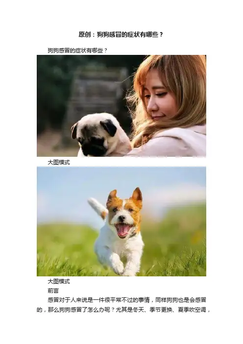 原创：狗狗感冒的症状有哪些？