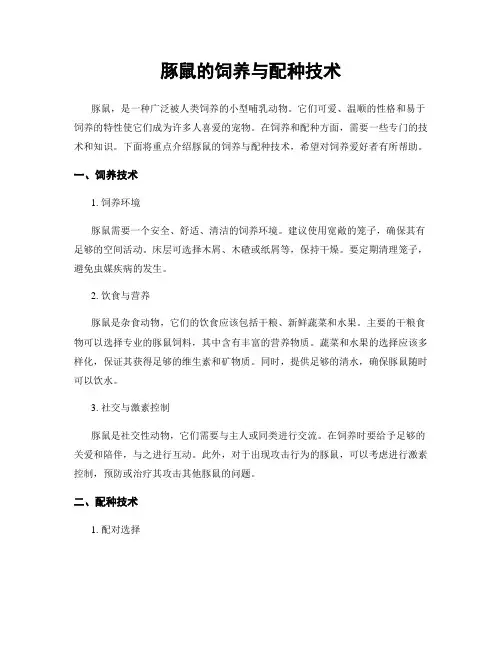 豚鼠的饲养与配种技术