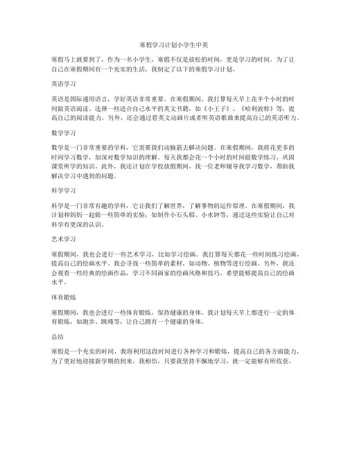 寒假学习计划小学生中英
