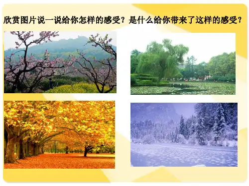 色彩与生活-PPT课件