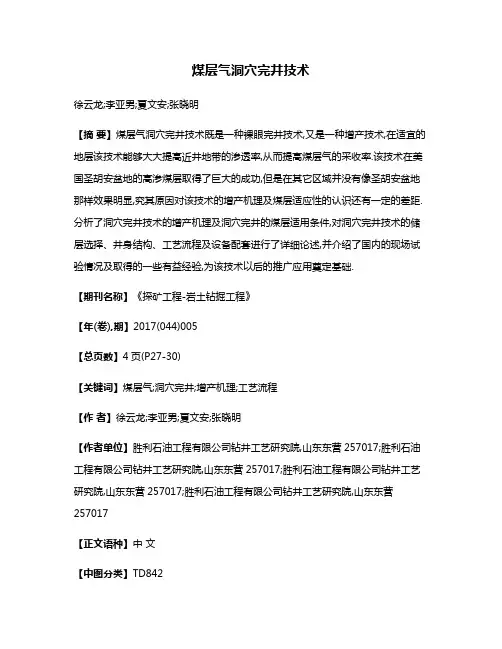 煤层气洞穴完井技术
